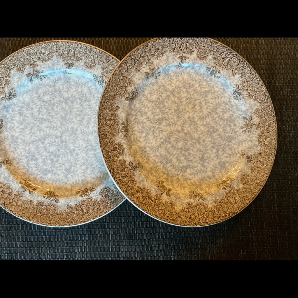 Royal Worcester Vitreous 9 1/2” plates transferware. Floral blue & brown. 2